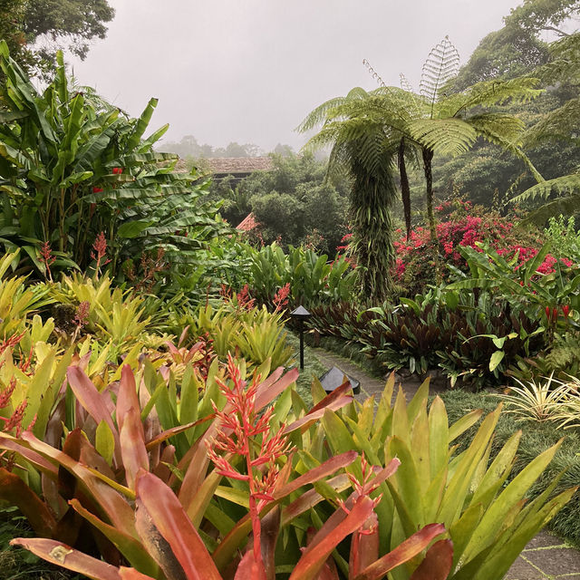 코스타리카 라 파즈 워터폴 가든스 자연공원 La Paz Waterfall Gardens Nature Park