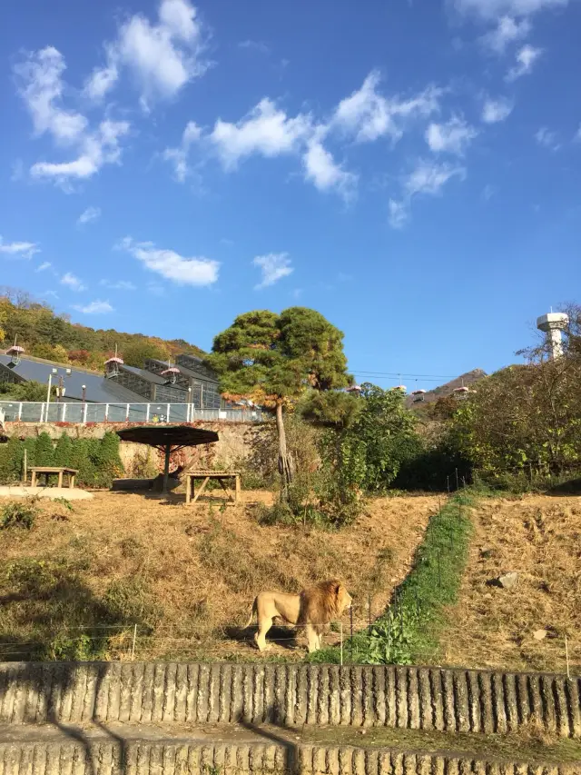 귀여운 동물 친구들 구경하며 힐링하기