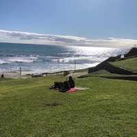 Sun, Sand, and Surf
