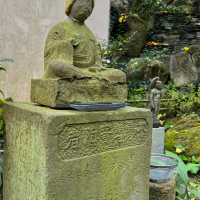 วัดนันโซอิน พระใหญ่กับใบไม้เปลี่ยนสี