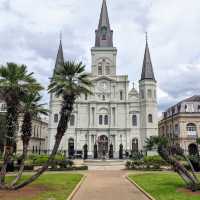 A Taste of New Orleans Culture