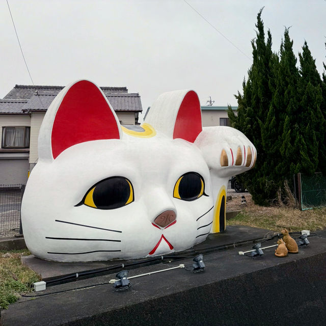 Explore the Charm of Tokoname Manekineko-Dori Street - A Cat Lover's Paradise🐱🏮🌸