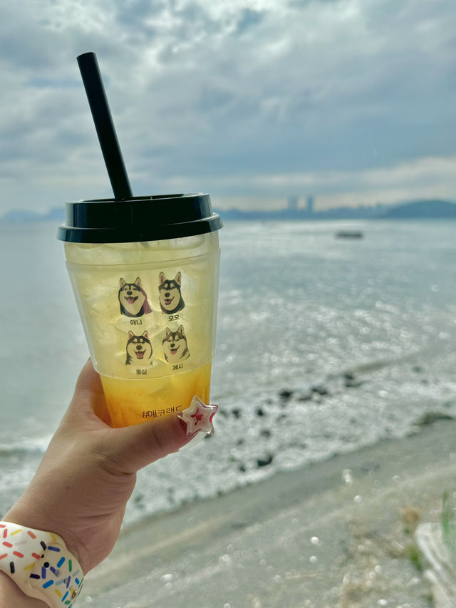 【釜山/海雲台】スカイカプセルが目の前のシベリアンハスキーカフェ