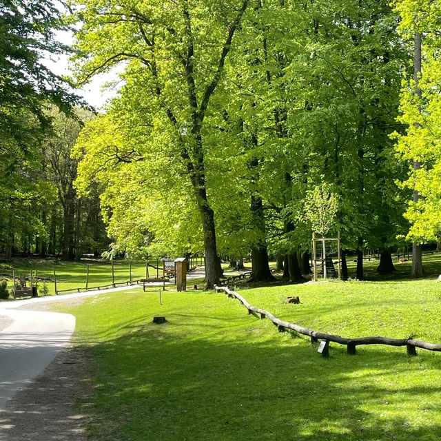 奈良公園：與鹿共舞的綠意天堂 🦌🌳