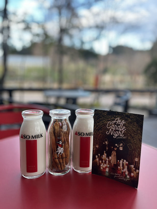 【熊本観光】復興を願うキャンドルの灯りに癒された🕯✨️