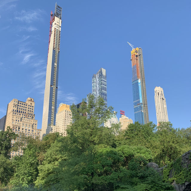Urban Oasis: A Perfect Day in Central Park