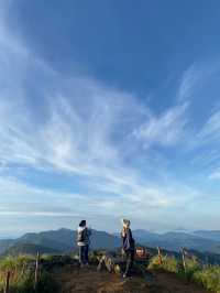 ชมทะเลหมอกที่ภูชี้ฟ้า จ.เชียงราย ⛰️⛅️🌳🌼