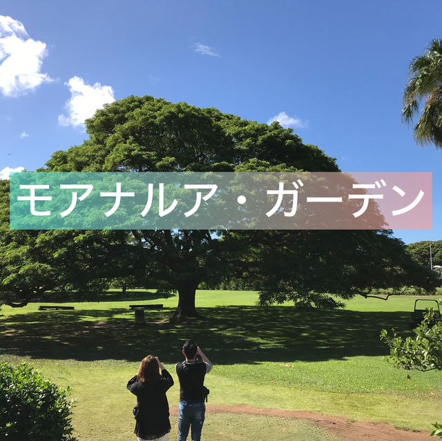 【モアナルア・ガーデン】