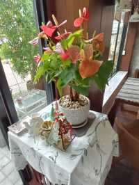ศรีเสนาะ คาเฟ่ |ประจวบคีรีขันธ์