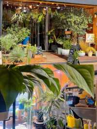 「北鎌倉」超穴場!植物に囲まれる幸せ空間カフェ☕️✨