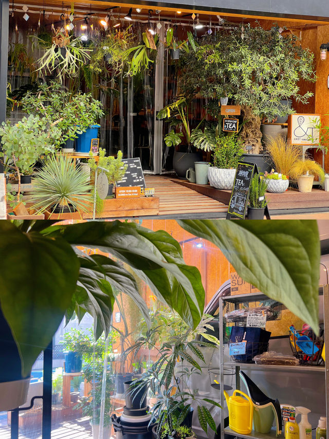 「北鎌倉」超穴場!植物に囲まれる幸せ空間カフェ☕️✨ 「北鎌倉」超穴場!植物に囲まれる幸せ空間カフェ☕️✨