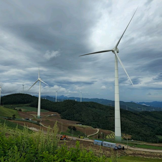 여름여행 태백의 매봉산 바람의 언덕