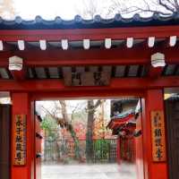 พิกัดเที่ยว Ueno Park 