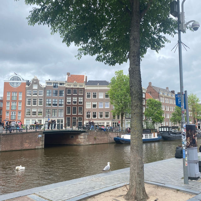 Amsterdam in Summer: A Journey Through History, Scenic Delights, and Culinary Treasures