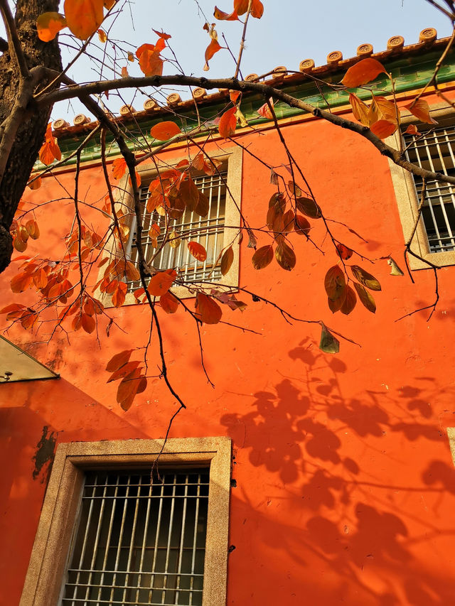 Autumn in the Forbidden City: A Journey Through History and Beauty 