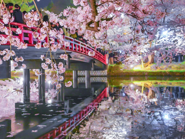【青森/弘前】しぬまでに見たい弘前城のさくら