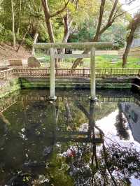 【茨城県】日の出を見た後の贅沢な早朝参拝