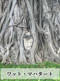 【タイ🇹🇭】 半日で回れる世界遺産‼️「アユタヤ遺跡」