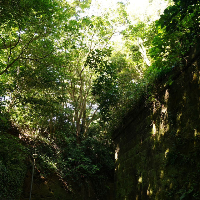 【神奈川/猿島】東京からも簡単に行ける無人島‼︎