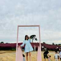 Anseong Farm Land