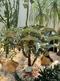 香港公園🫶🏻期間限定香花展覽‼️週末好去處