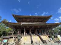 【世界遺産・金峯山寺】青の秘仏に参拝