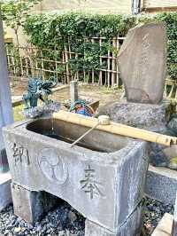 【東京都】存在感ある樹齢900年の欅