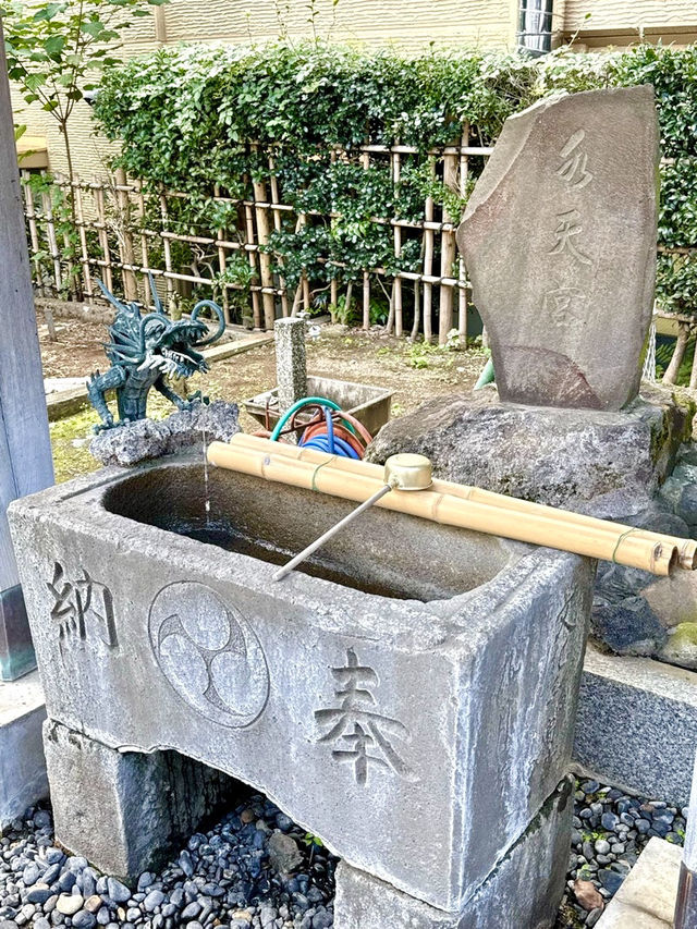 【東京都】存在感ある樹齢900年の欅