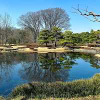 Very impressive garden & a must visit spot in Tokyo.