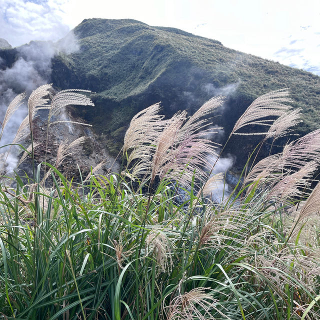 YANGMINGSHAN IS A MUST SEE ATTRACTIONS IN TAIPEI, TAIWAN