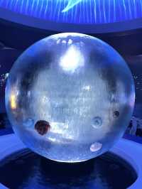 【神奈川|江ノ島】新江ノ島水族館