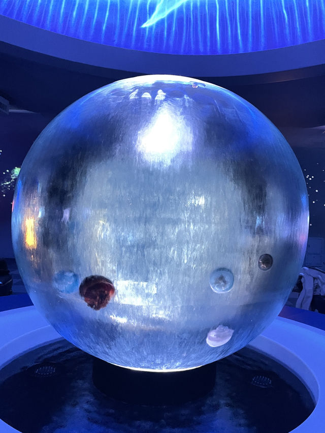 【神奈川|江ノ島】新江ノ島水族館