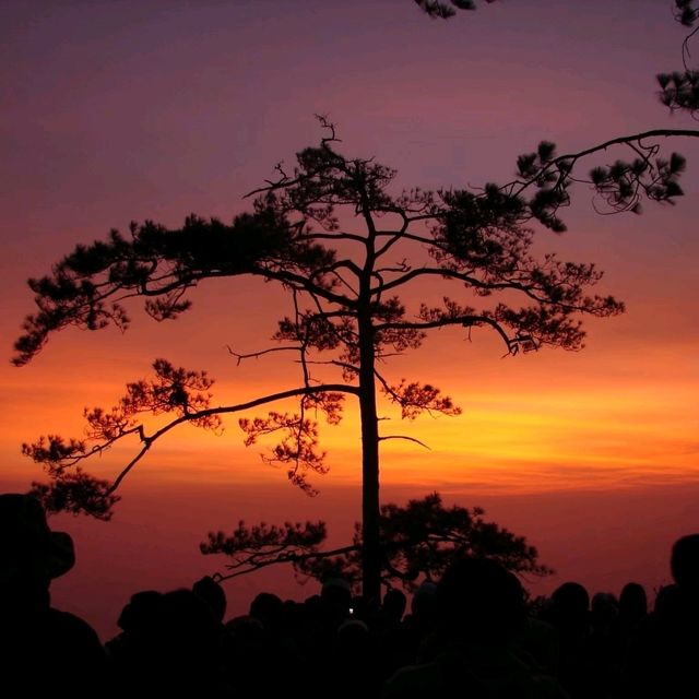 คิดถึง ⛰️⛰️ภูกระดึง⛰️⛰️