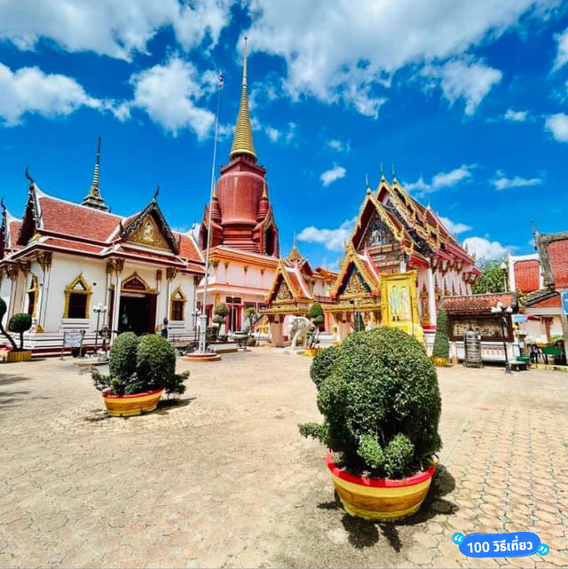 วัดช้างให้ราษฎร์บูรณาราม หลวงพ่อทวด 🛕🙏🏼✨