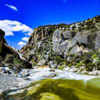 The Wonders of Auckland and Waiheke Island