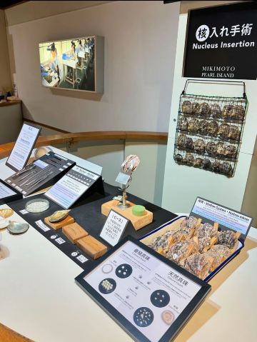 三重県 鳥羽】ここでしか買えない！？特別なMIKIMOTO パール🦪をお迎え