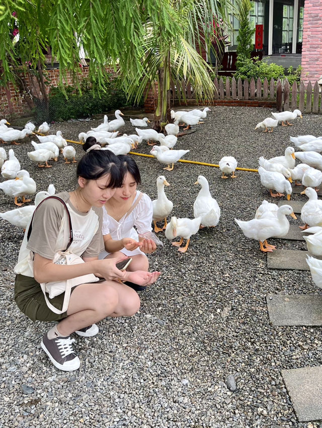 台北｜宜蘭｜鴨寮故事館🪿