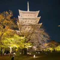 ✨ บรรยากาศสุดฟิน! ชมไฟกลางคืนที่วัดToji, Kyoto✨