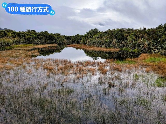 紐西蘭南島自駕遊，飽覽自然美景不走回頭路