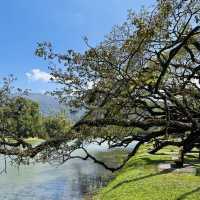 Nature’s Beauty and Timeless Charm: My Day at Taman Tasik Taiping!