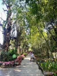 คาเฟ่แดนเทวดา สุดธรรมชาติ🌴