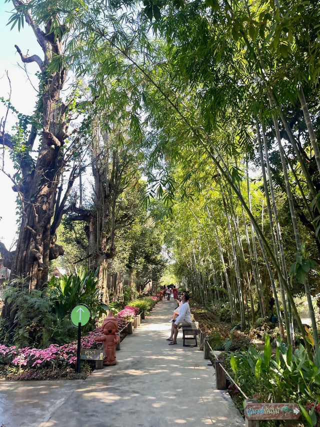 คาเฟ่แดนเทวดา สุดธรรมชาติ🌴