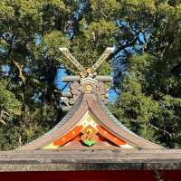 大歲神社📝清幽靜謐⛩️🌲