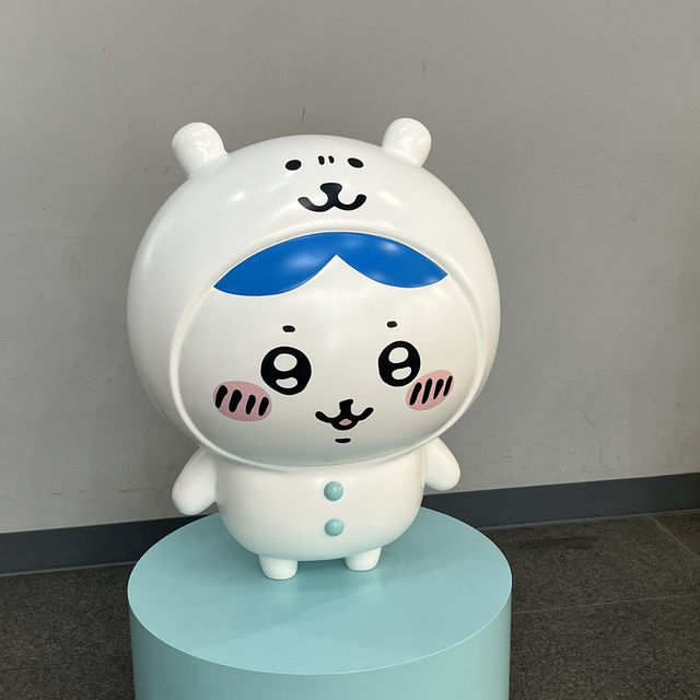 치이카와 좋아하는 분👋