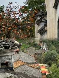 Harvest Colours and Timeless Traditions: Our Journey to Huangling Village