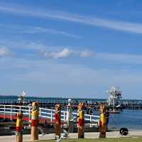 แวะ Geelong เมืองใหญ่อันดับ 2 รัฐวิคตอเรีย