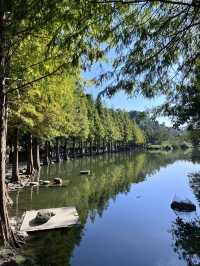 ［桃園旅遊］桃園小秘境-山豬湖生態親水園區🌿🍃🍁🍂