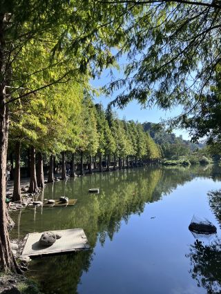 ［桃園旅遊］桃園小秘境-山豬湖生態親水園區🌿🍃🍁🍂