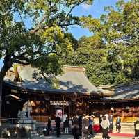〔姬路護國神社〕城下町的平和守護之地
