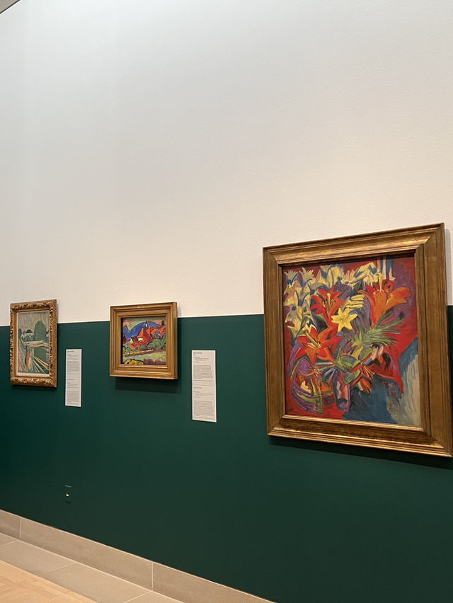 ［達拉斯旅遊］The Dallas Museum of Art-不能錯過的博物館🖼️